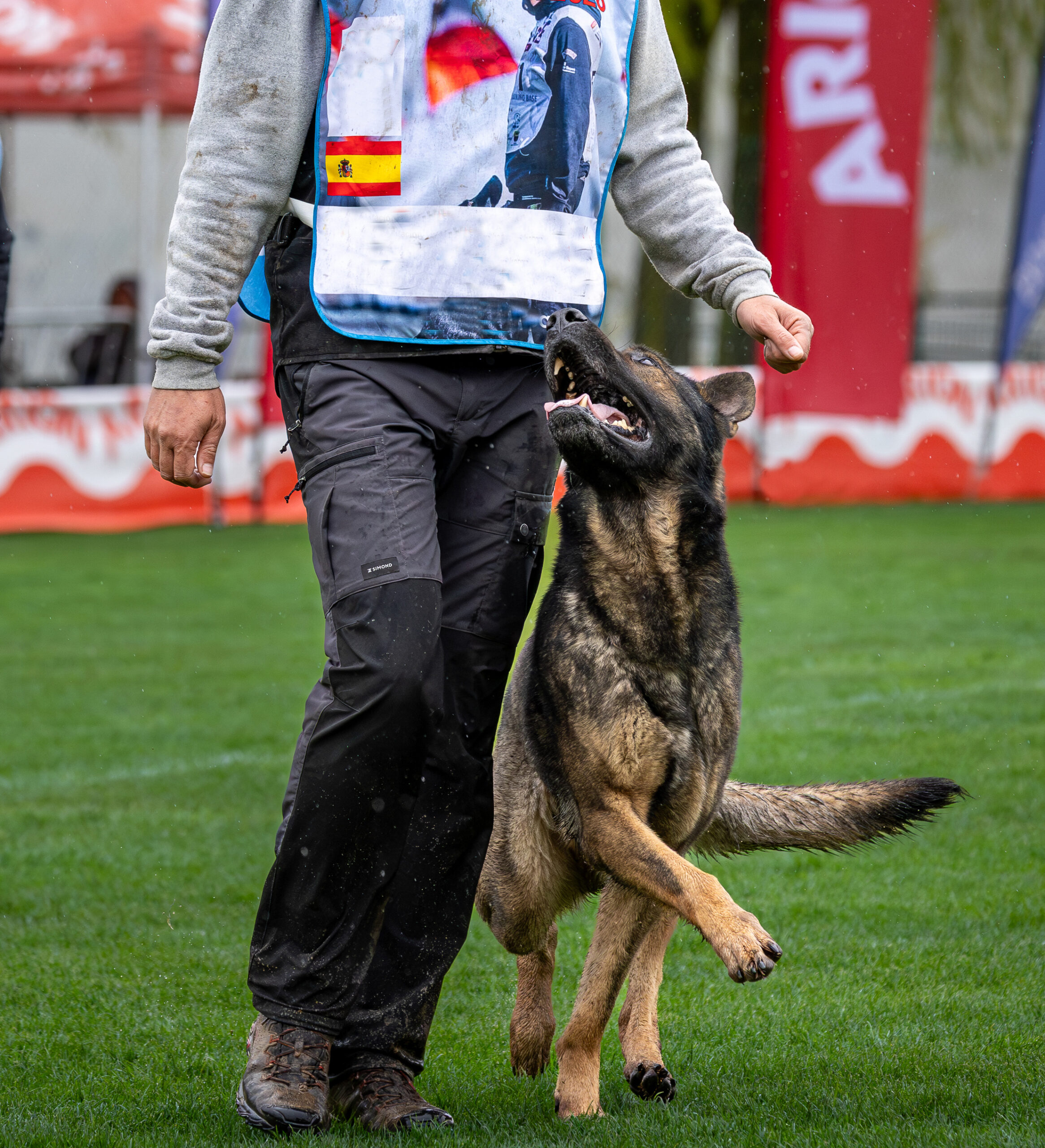 igp image - Security Dogs Córdoba