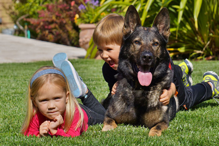 family image - Security Dogs Córdoba